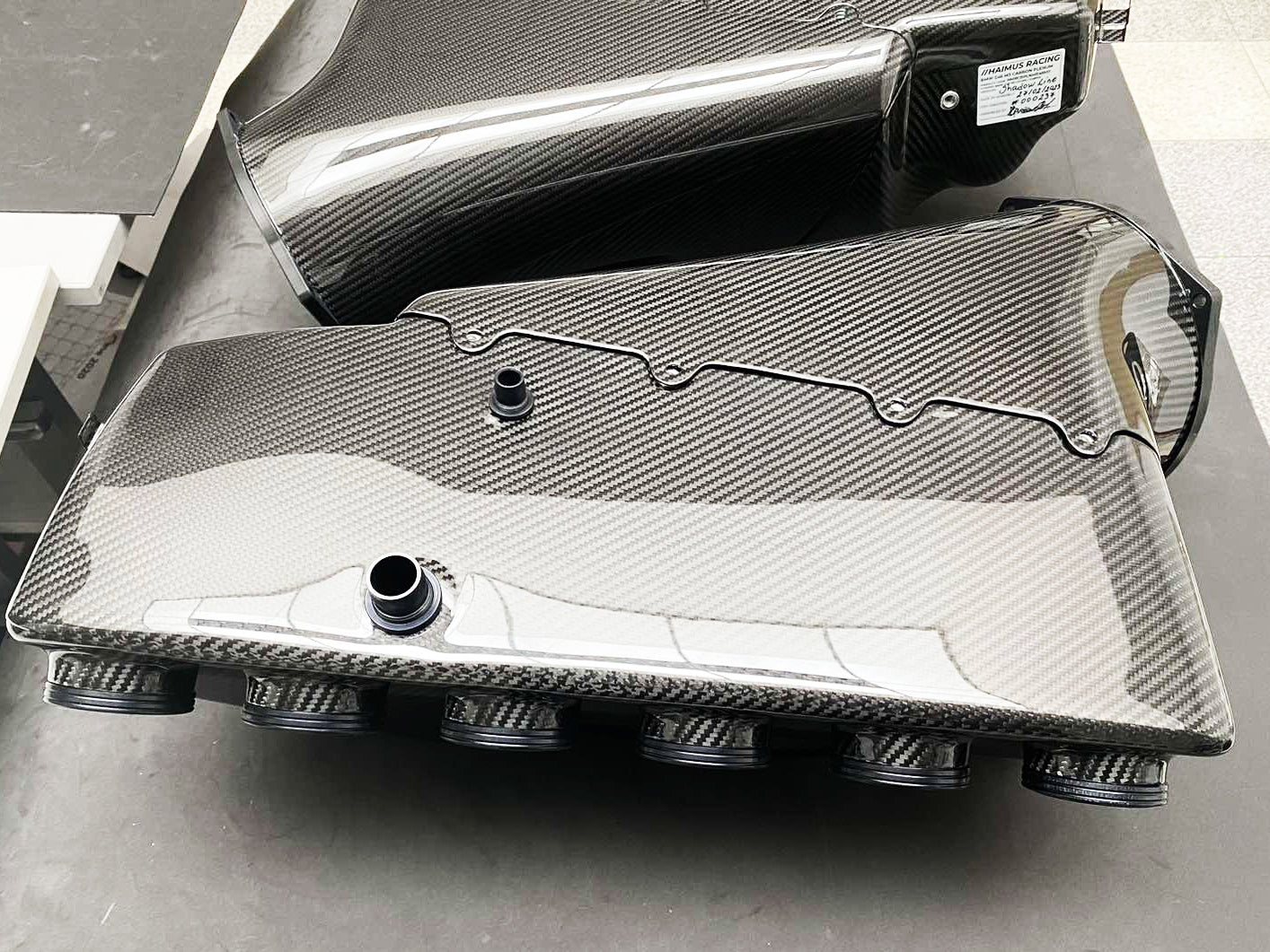 Haimus Performance E46 M3 Prepreg Carbon Intake Plenum